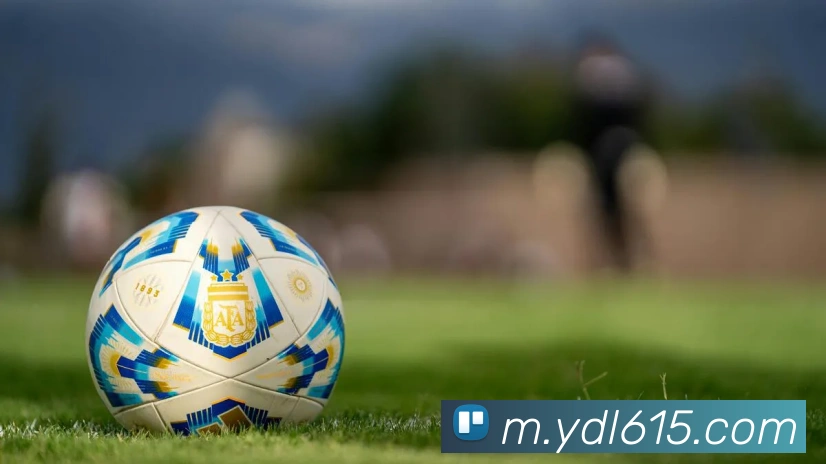 对战数据统计
